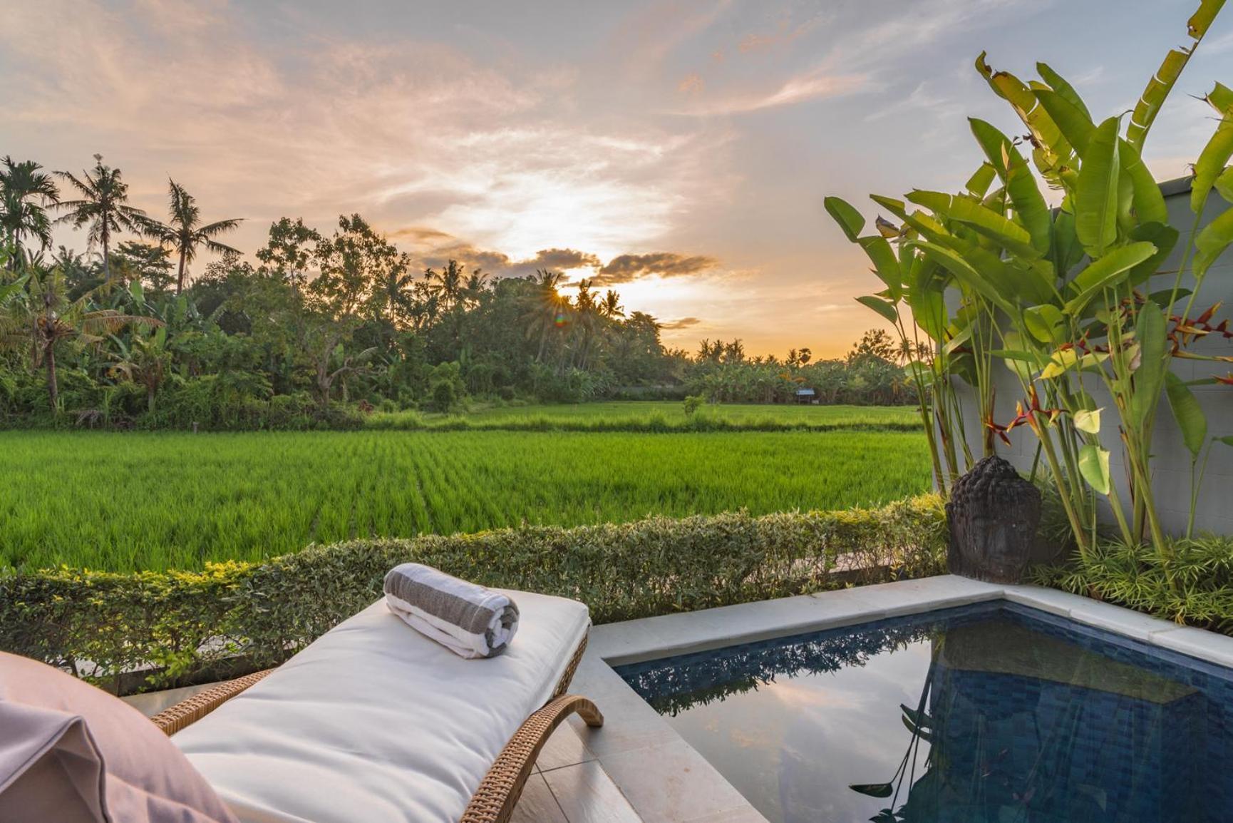 Villa Shiva Lovina Beach Extérieur photo