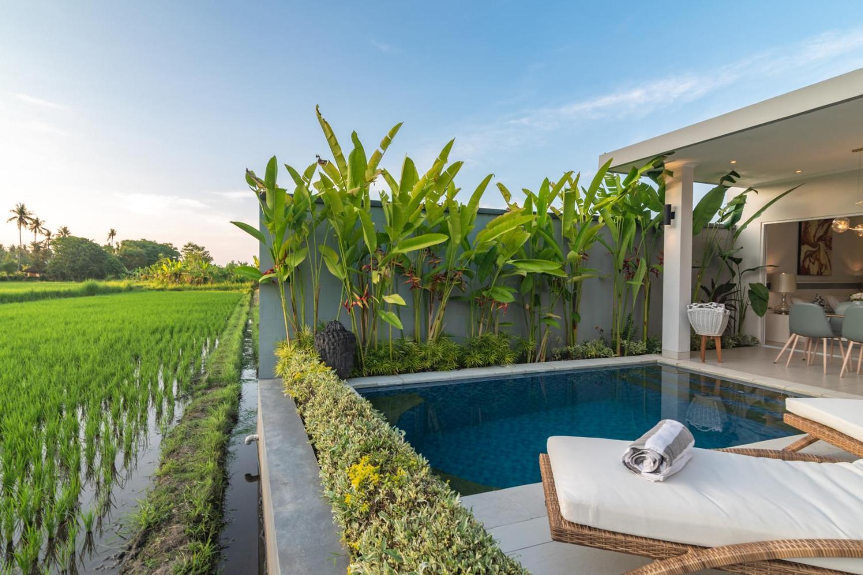Villa Shiva Lovina Beach Extérieur photo